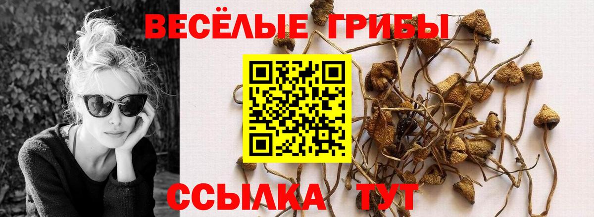 Галлюциногенные грибы Psilocybine cubensis  Вход с VPN  Галлюциногенные грибы мухоморы  Малоярославец 