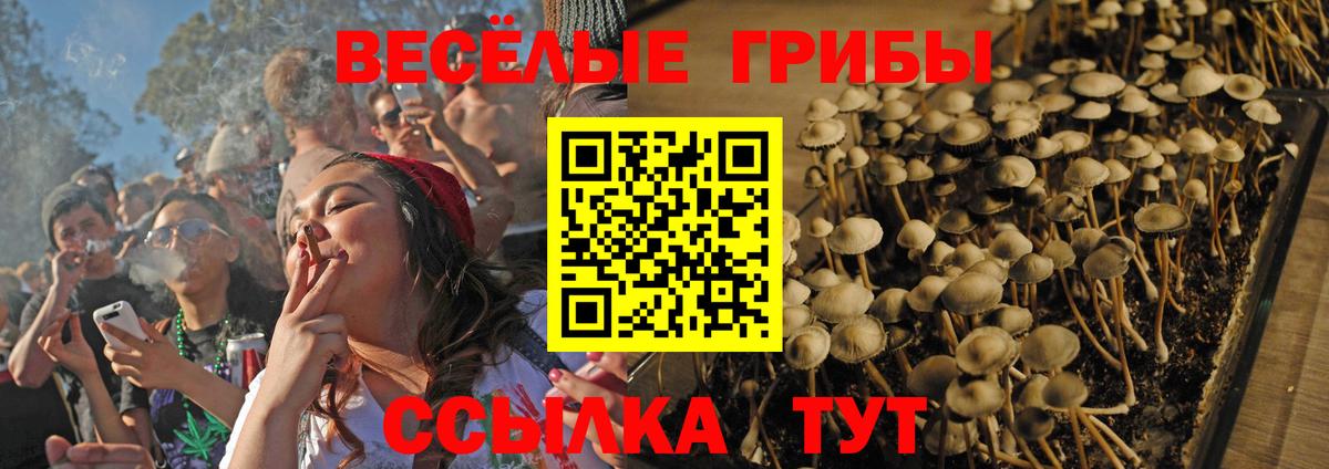 Псилоцибиновые грибы ЛСД Малоярославец